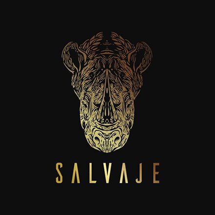 "سلڤاجي" الياباني يفتتح فرعه الأول بدبي