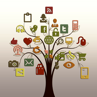 Kdy a proč lovit na sítích?