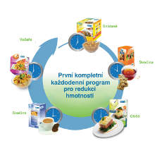 Nasnídat se franšízingu