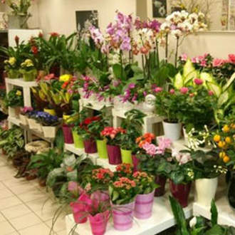 Byznys na svatého Valentýna