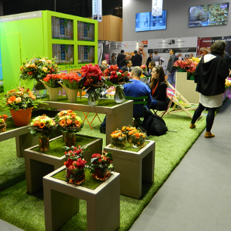 Za franšízami do Paříže