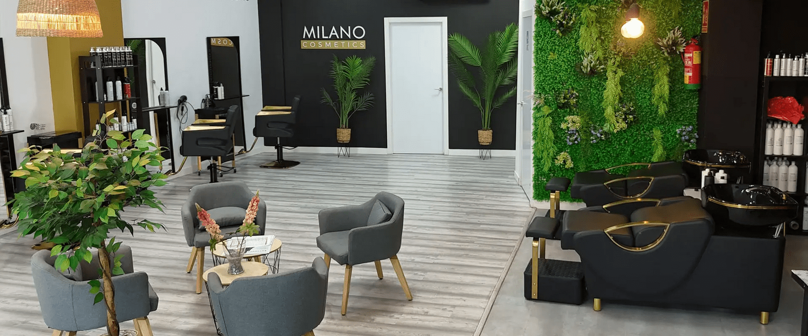 International franchise