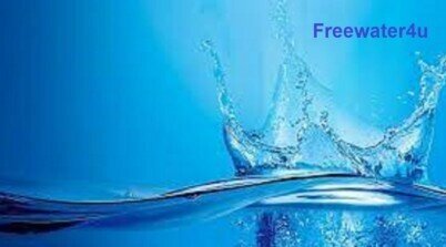 International franchise