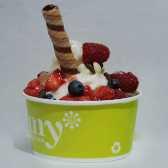 Joghurt franchise lehetőség