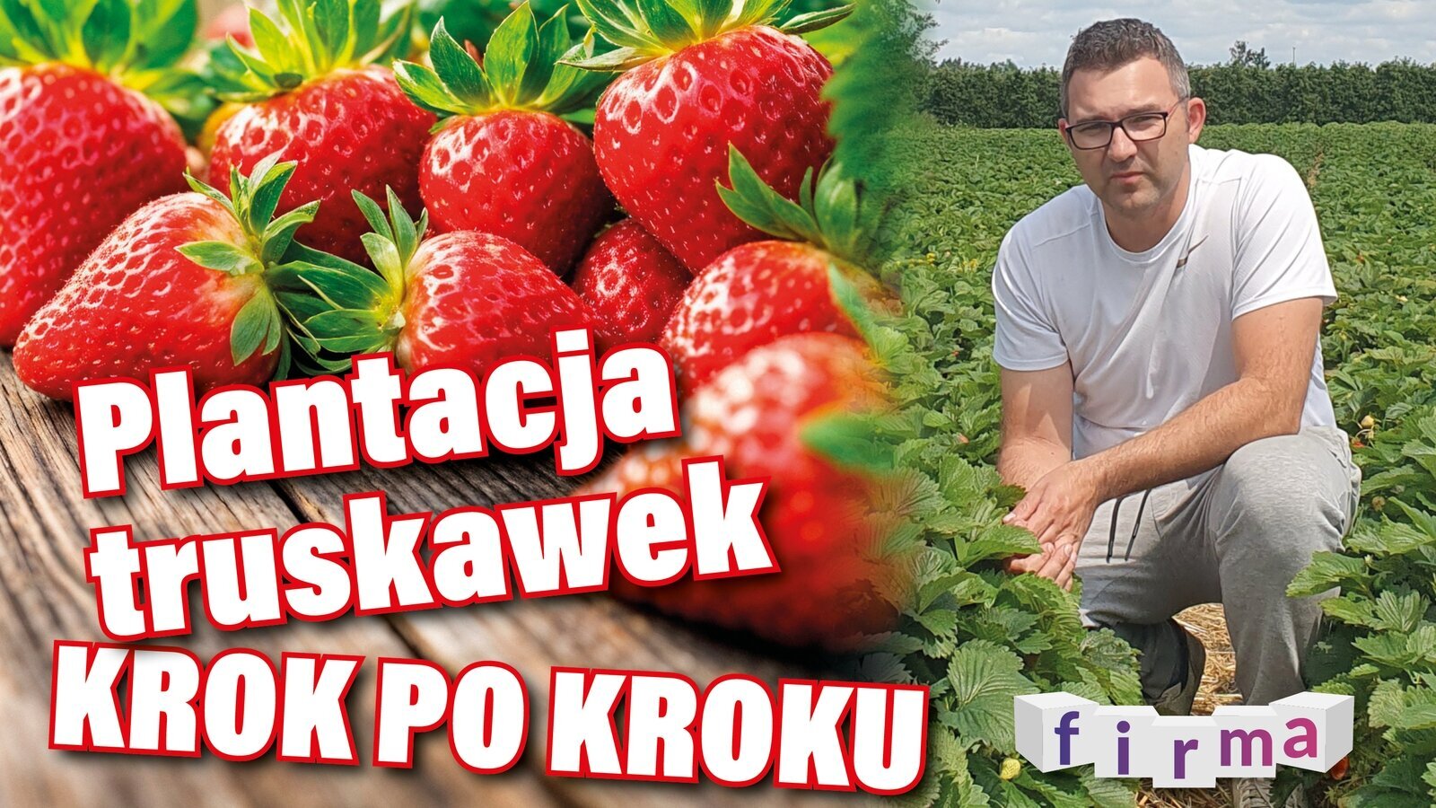 truskawki yt.jpg