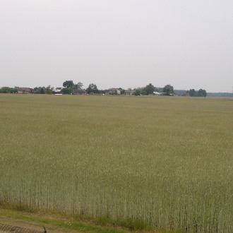 Biznes leży odłogiem