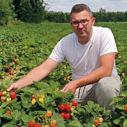 damian-fudecki-truskawki1.jpg