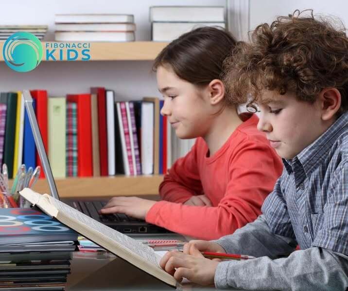 Sistemul de franciză Fibonacci Kids, flexibil și profitabil