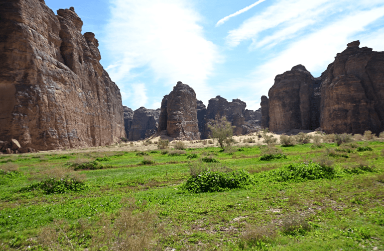 محمية شرعان الطبيعية