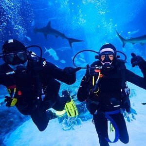 عروض لليوم الوطني في أبو ظبي