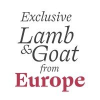 " إنتروفيك" تقدم منتجاتها للسوق السعودية 