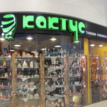 Кактус виріс в Черкасах