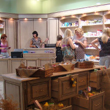 Stephania: від каталогів до франчайзингу