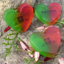 Saules Fabrika з франчайзингом в регіони